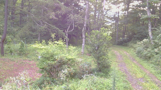 長野県菅平高原 ゆたか山荘 坂上 2026/08/23 05:45