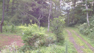 長野県菅平高原 ゆたか山荘 坂上 2026/08/23 06:00