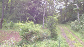 長野県菅平高原 ゆたか山荘 坂上 2026/08/23 06:15