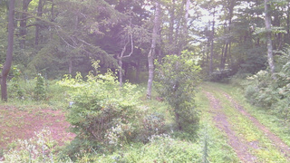 長野県菅平高原 ゆたか山荘 坂上 2026/08/23 06:30