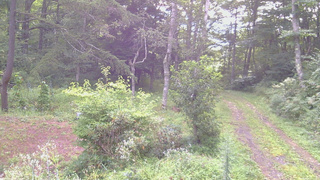 長野県菅平高原 ゆたか山荘 坂上 2026/08/23 06:45