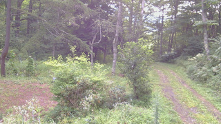長野県菅平高原 ゆたか山荘 坂上 2026/08/23 07:00