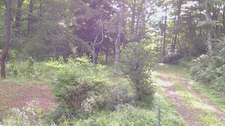 長野県菅平高原 ゆたか山荘 坂上 2026/08/23 07:15