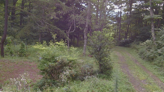 長野県菅平高原 ゆたか山荘 坂上 2026/08/23 07:45