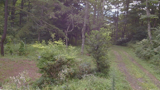 長野県菅平高原 ゆたか山荘 坂上 2026/08/23 08:00