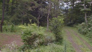 長野県菅平高原 ゆたか山荘 坂上 2026/08/23 08:15
