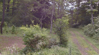 長野県菅平高原 ゆたか山荘 坂上 2026/08/23 08:45