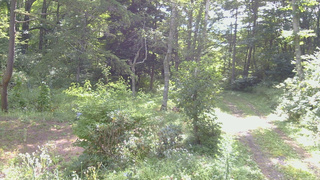長野県菅平高原 ゆたか山荘 坂上 2026/08/23 09:00