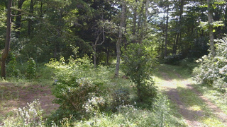 長野県菅平高原 ゆたか山荘 坂上 2026/08/23 09:15