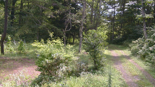 長野県菅平高原 ゆたか山荘 坂上 2026/08/23 10:15