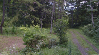 長野県菅平高原 ゆたか山荘 坂上 2026/08/23 10:45