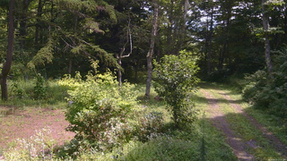 長野県菅平高原 ゆたか山荘 坂上 2026/08/23 11:15