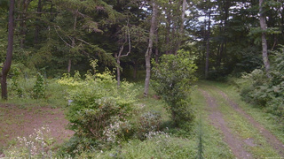 長野県菅平高原 ゆたか山荘 坂上 2026/08/23 11:30