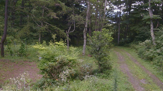 長野県菅平高原 ゆたか山荘 坂上 2026/08/23 11:45