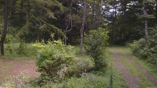 長野県菅平高原 ゆたか山荘 坂上 2026/08/23 12:00