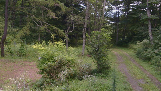 長野県菅平高原 ゆたか山荘 坂上 2026/08/23 12:15
