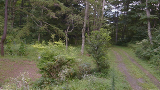 長野県菅平高原 ゆたか山荘 坂上 2026/08/23 12:30