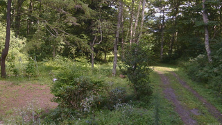 長野県菅平高原 ゆたか山荘 坂上 2026/08/23 12:45