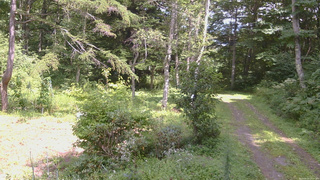 長野県菅平高原 ゆたか山荘 坂上 2026/08/23 13:15
