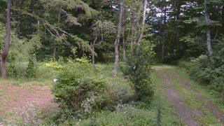 長野県菅平高原 ゆたか山荘 坂上 2026/08/23 13:30