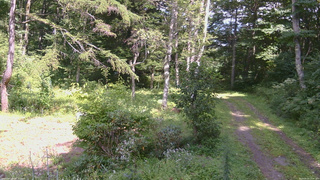 長野県菅平高原 ゆたか山荘 坂上 2026/08/23 13:45