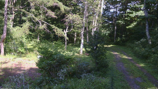 長野県菅平高原 ゆたか山荘 坂上 2026/08/23 14:15