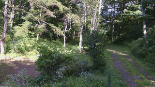 長野県菅平高原 ゆたか山荘 坂上 2026/08/23 14:30