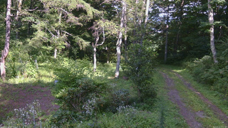 長野県菅平高原 ゆたか山荘 坂上 2026/08/23 15:00