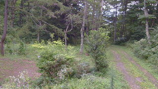 長野県菅平高原 ゆたか山荘 坂上 2026/08/23 16:00
