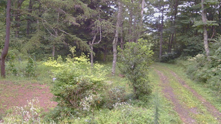 長野県菅平高原 ゆたか山荘 坂上 2026/08/23 16:15