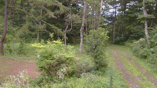 長野県菅平高原 ゆたか山荘 坂上 2026/08/23 16:30