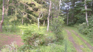 長野県菅平高原 ゆたか山荘 坂上 2026/08/23 16:45