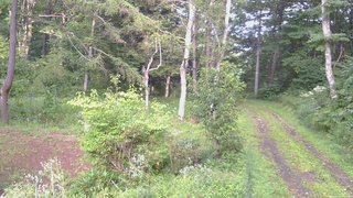 長野県菅平高原 ゆたか山荘 坂上 2026/08/23 17:00