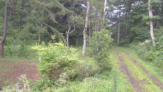 長野県菅平高原 ゆたか山荘 坂上 2026/08/23 17:15