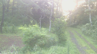 長野県菅平高原 ゆたか山荘 坂上 2026/08/24 05:30