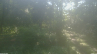 長野県菅平高原 ゆたか山荘 坂上 2026/08/24 07:15