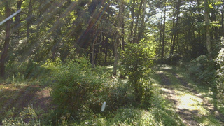 長野県菅平高原 ゆたか山荘 坂上 2026/08/24 08:15