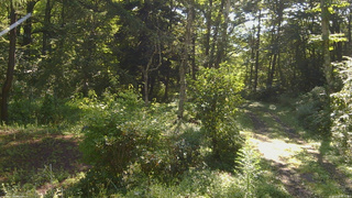 長野県菅平高原 ゆたか山荘 坂上 2026/08/24 08:30