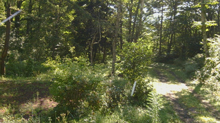 長野県菅平高原 ゆたか山荘 坂上 2026/08/24 08:45