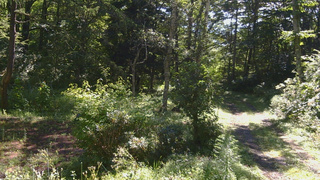 長野県菅平高原 ゆたか山荘 坂上 2026/08/24 09:15