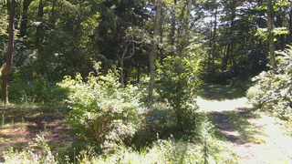 長野県菅平高原 ゆたか山荘 坂上 2026/08/24 09:30