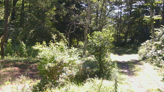 長野県菅平高原 ゆたか山荘 坂上 2026/08/24 09:45