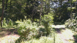 長野県菅平高原 ゆたか山荘 坂上 2026/08/24 10:00