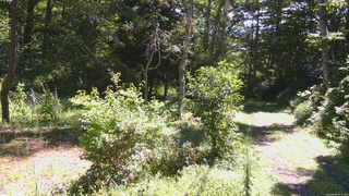長野県菅平高原 ゆたか山荘 坂上 2026/08/24 10:15