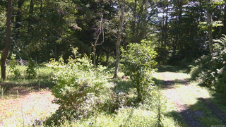 長野県菅平高原 ゆたか山荘 坂上 2026/08/24 10:30