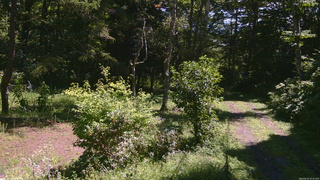長野県菅平高原 ゆたか山荘 坂上 2026/08/24 10:45