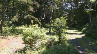 長野県菅平高原 ゆたか山荘 坂上 2026/08/24 11:15