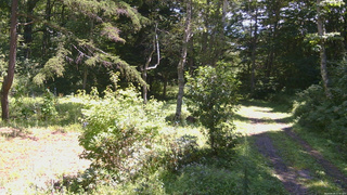 長野県菅平高原 ゆたか山荘 坂上 2026/08/24 11:30