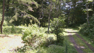 長野県菅平高原 ゆたか山荘 坂上 2026/08/24 11:45