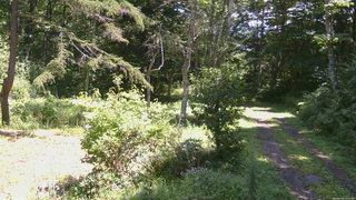 長野県菅平高原 ゆたか山荘 坂上 2026/08/24 12:00